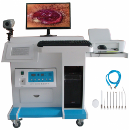 電腦型微波治療儀